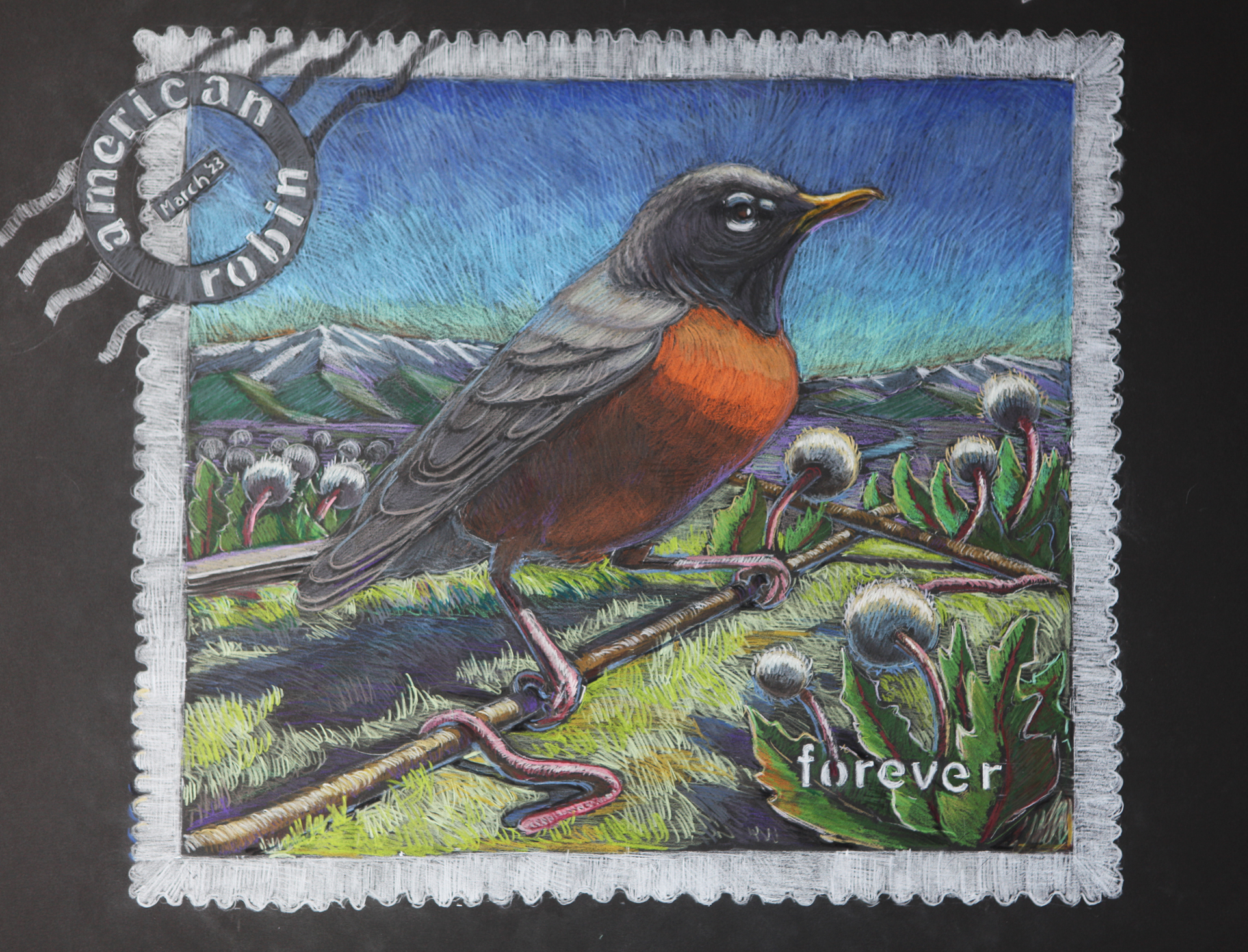 Mural: American Robin - Chalk