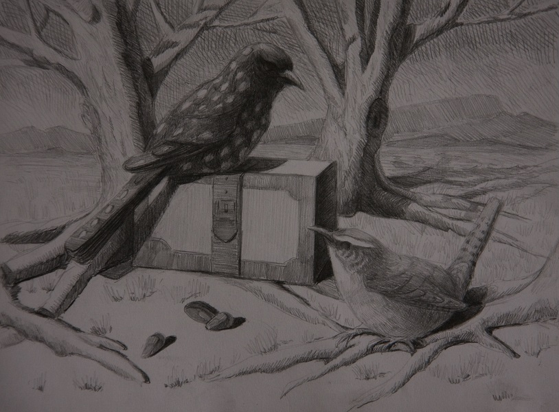 Spotted Grackle and Wren - Pencil