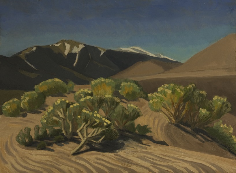 The Great Sand Dunes: rabbit brush in the morning; a sparrow sings behind me - Oil