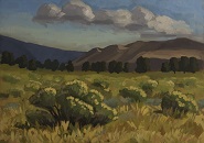 Great Sand Dunes: Rabbit Brush #2 - Oil