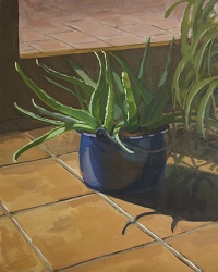 Plants are Amazing #1 - Oil